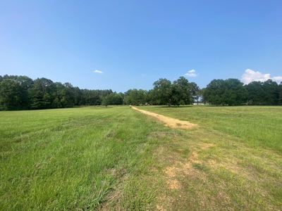 34.9 Acres Lincoln County, MS Pasture Property For Sale - image 11