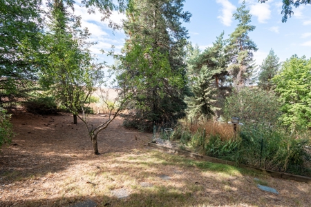 Small Acreage Rural Property Just 1 Mile from Moscow, Idaho! - image 43