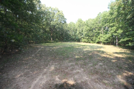 Wayne County Missouri Hunting land for Sale - image 32