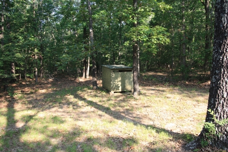 Wayne County Missouri Hunting land for Sale - image 14