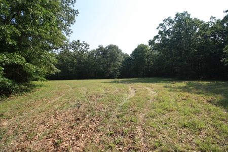 Wayne County Missouri Hunting land for Sale - image 2