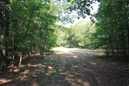 Wayne County Missouri Hunting land for Sale - image 39
