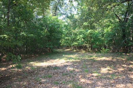 Wayne County Missouri Hunting land for Sale - image 3