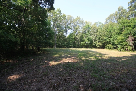 Wayne County Missouri Hunting land for Sale - image 4