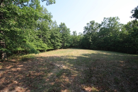 Wayne County Missouri Hunting land for Sale - image 38