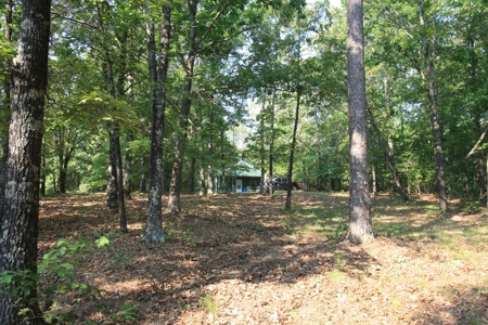 Wayne County Missouri Hunting land for Sale - image 41