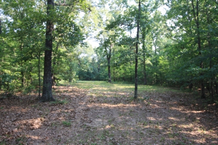 Wayne County Missouri Hunting land for Sale - image 18