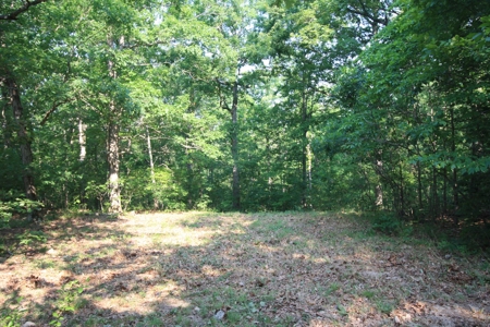 Wayne County Missouri Hunting land for Sale - image 37