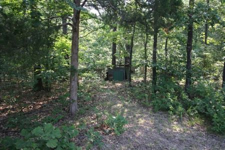 Wayne County Missouri Hunting land for Sale - image 31