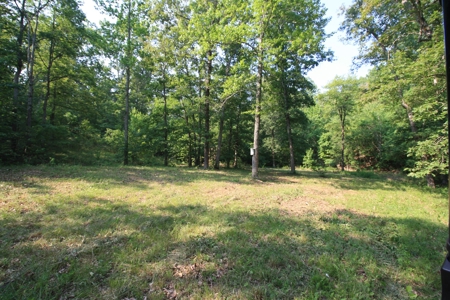 Wayne County Missouri Hunting land for Sale - image 33
