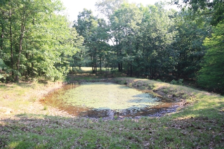 Wayne County Missouri Hunting land for Sale - image 40