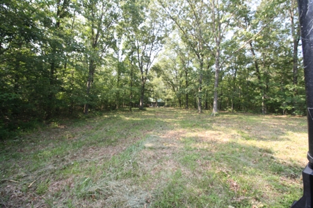 Wayne County Missouri Hunting land for Sale - image 5