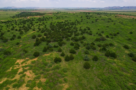 Land For Sale Near Granite, Oklahoma - image 36