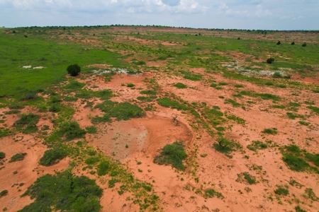 Land For Sale Near Granite, Oklahoma - image 3