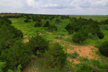 Land For Sale Near Granite, Oklahoma - image 29