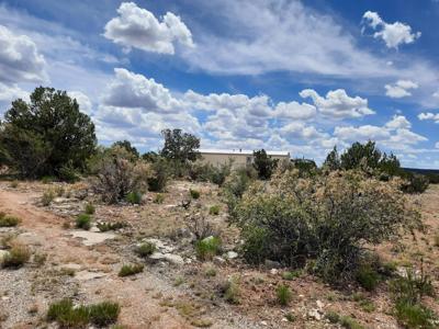 20 acres remote off grid property has a few surprises !! - image 25