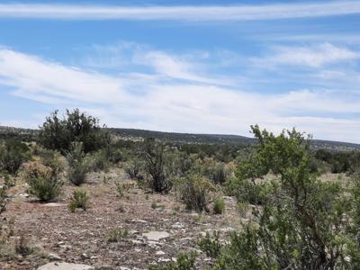 20 acres remote off grid property has a few surprises !! - image 4