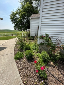 Your 4 acre piece of Palouse Paradise - image 12