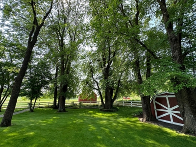 Your 4 acre piece of Palouse Paradise - image 6