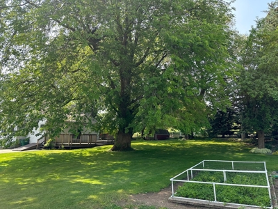 Your 4 acre piece of Palouse Paradise - image 2