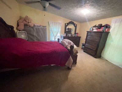 Small acreage and mobile homes for sale in Douglas County Mo - image 35