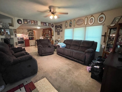 Small acreage and mobile homes for sale in Douglas County Mo - image 30