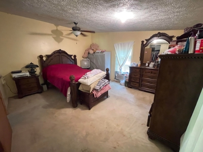 Small acreage and mobile homes for sale in Douglas County Mo - image 31