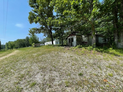 Small acreage and mobile homes for sale in Douglas County Mo - image 5