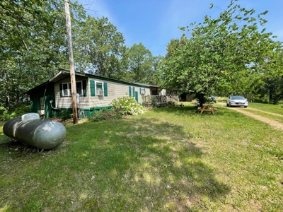 Small acreage and mobile homes for sale in Douglas County Mo - image 26