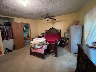 Small acreage and mobile homes for sale in Douglas County Mo - image 39