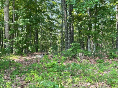 Small acreage and mobile homes for sale in Douglas County Mo - image 22