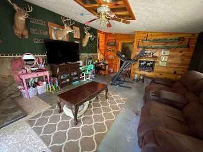 Small acreage and mobile homes for sale in Douglas County Mo - image 2