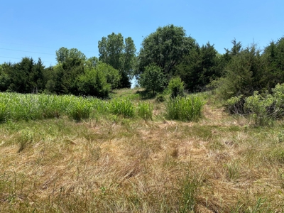 Kansas Land For Sale Harper County - image 31