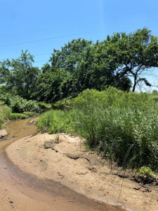 Kansas Land For Sale Harper County - image 14