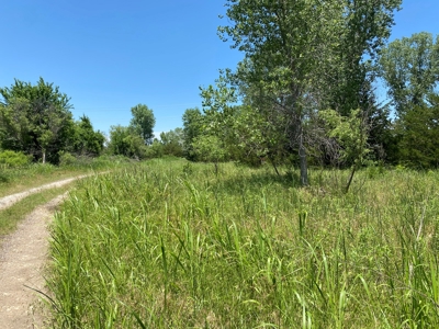 Kansas Land For Sale Harper County - image 11