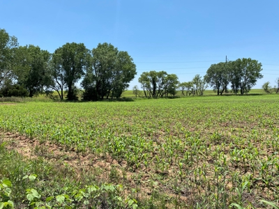 Kansas Land For Sale Harper County - image 25