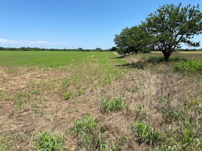 Kansas Land For Sale Harper County - image 37