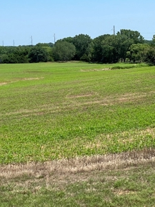 Kansas Land For Sale Harper County - image 36