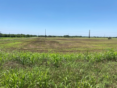 Kansas Land For Sale Harper County - image 2