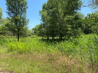 Kansas Land For Sale Harper County - image 17