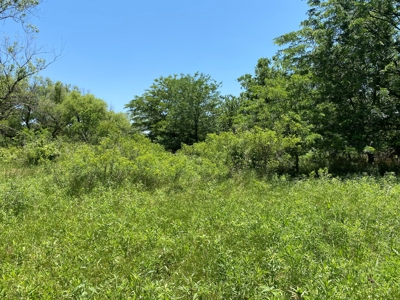 Kansas Land For Sale Harper County - image 20