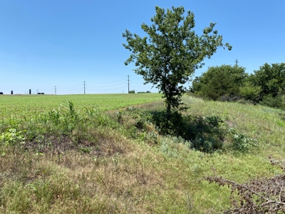 Kansas Land For Sale Harper County - image 29