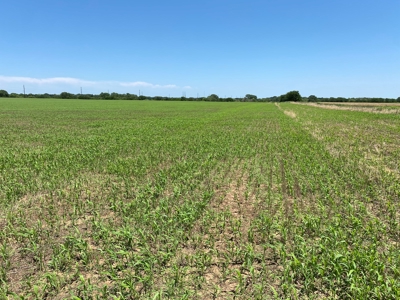 Kansas Land For Sale Harper County - image 38