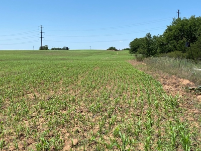 Kansas Land For Sale Harper County - image 27