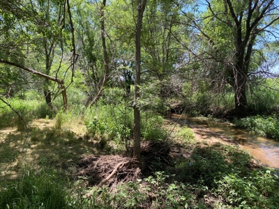 Kansas Land For Sale Harper County - image 18