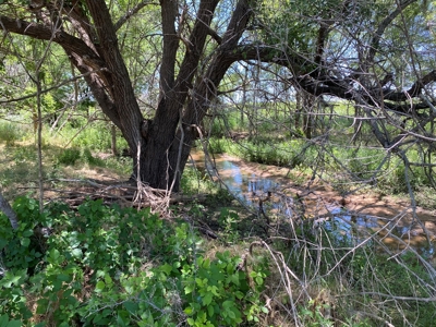 Kansas Land For Sale Harper County - image 16