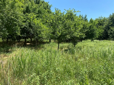 Kansas Land For Sale Harper County - image 32