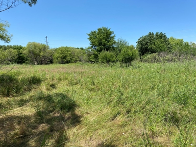 Kansas Land For Sale Harper County - image 22