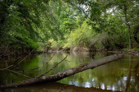 170 Acres with Farmhouse in St. Helena Parish, LA for Sale - image 40