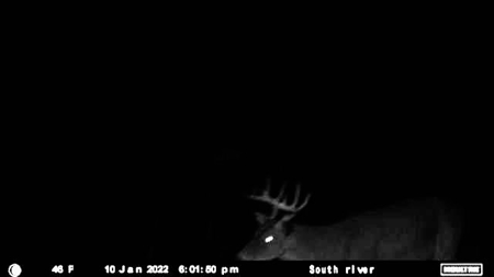 170 Acres with Farmhouse in St. Helena Parish, LA for Sale - image 45